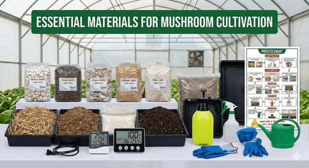 Essential materials for mushroom cultivation.png
